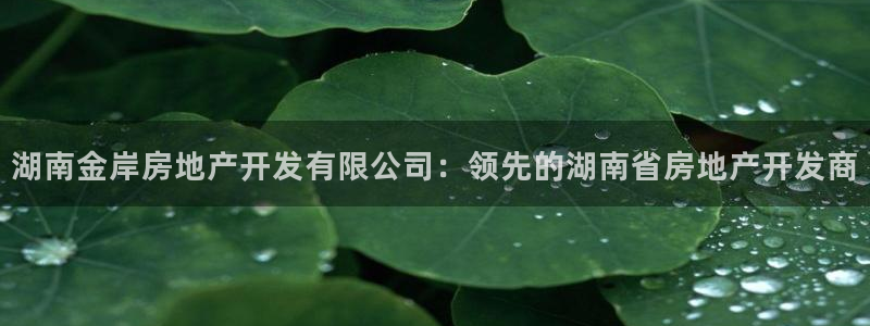 万向娱乐王者荣耀