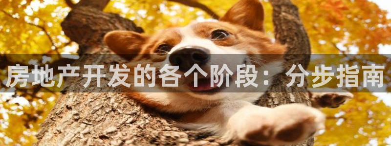万向娱乐平台代理怎么样