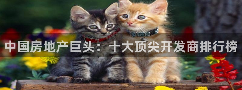 万向娱乐的联系方式有哪些