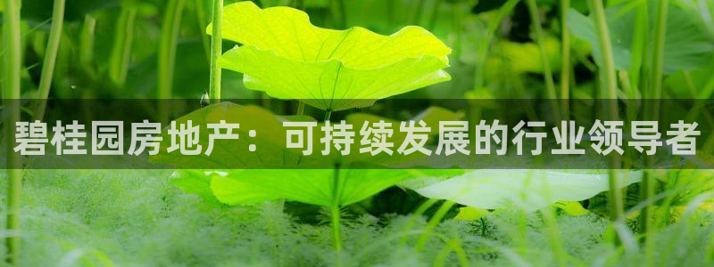 万向娱乐下载安装