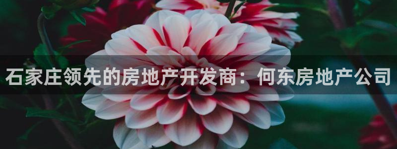 万向娱乐官网下载安装最新版