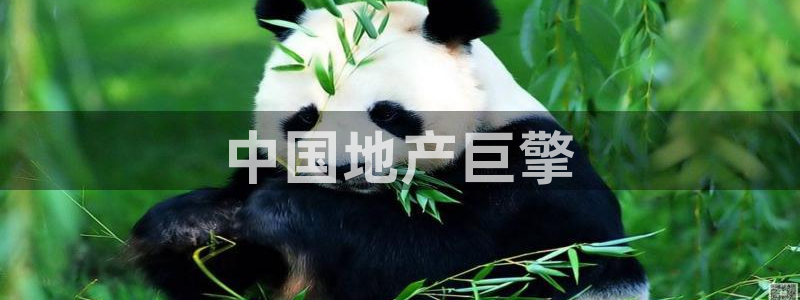 万向娱乐平台代理多少钱一年