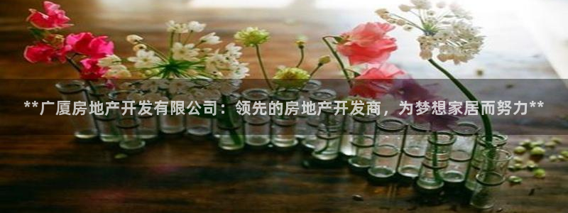 万向娱乐平台好不