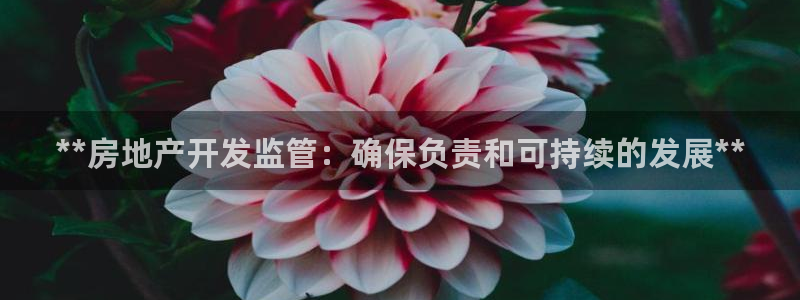 万向娱乐app下载官网