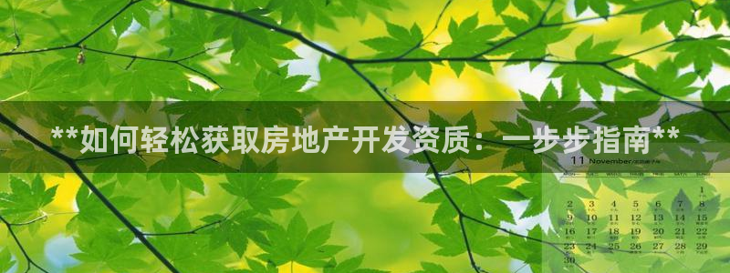 万向娱乐平台代理怎么做