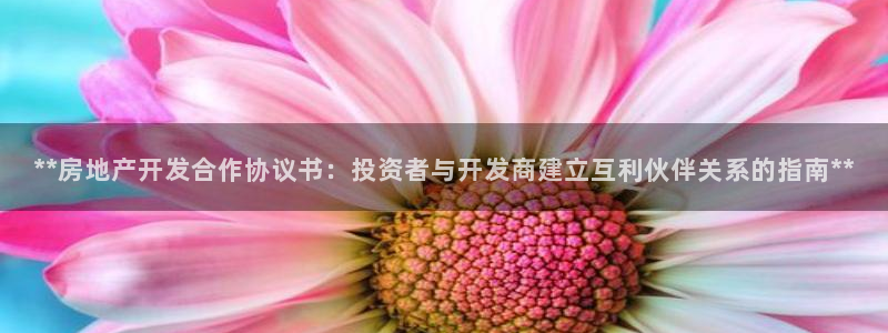 万向娱乐app