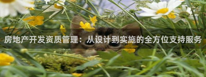 万向娱乐挂机软件
