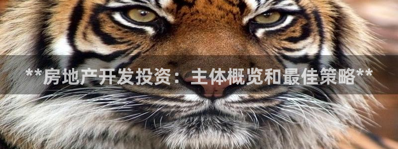 万向娱乐app下载安装