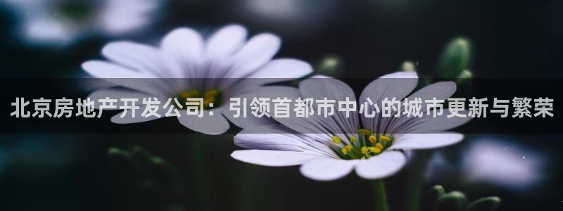 万向娱乐代理好看视频是真的吗