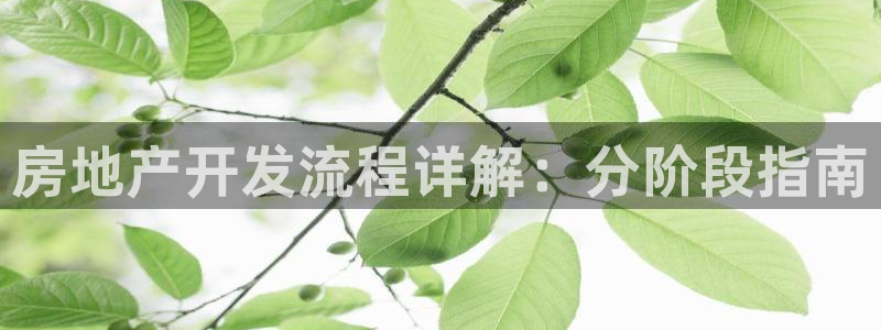 万向娱乐平台下载安装