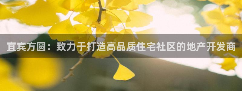 万向娱乐代理好看视频
