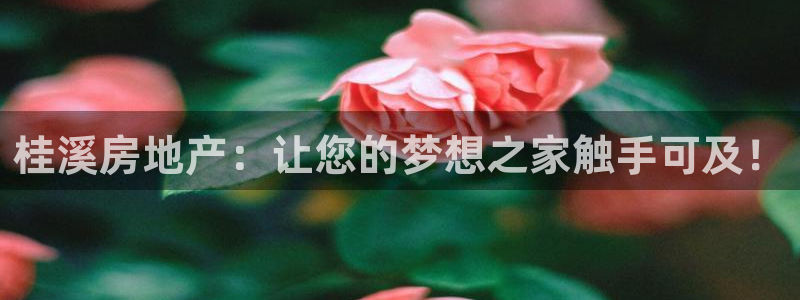 万向娱乐灯333OO