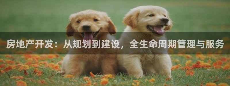 万向娱乐公司 585.34I 娱乐