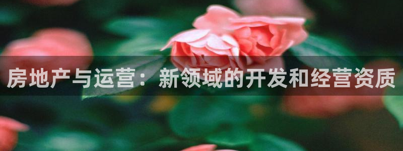 万向娱乐app下载官网