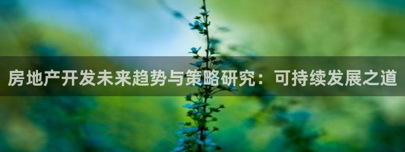 万向娱乐挂机