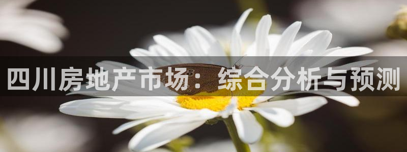 万向娱乐的联系方式有哪些