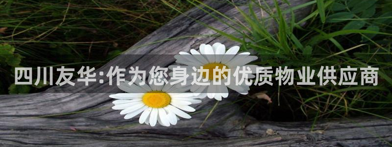 万向娱乐平台代理怎么样可靠吗