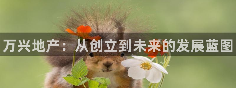 万向娱乐官网