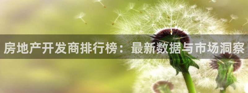 万向娱乐王者荣耀