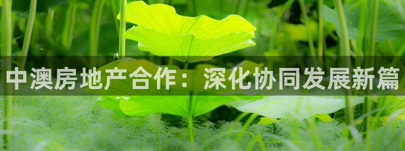 万向娱乐官网网址是什么