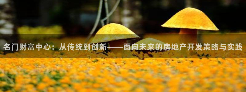 万向娱乐老板