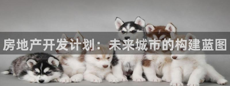 万向娱乐登陆官网