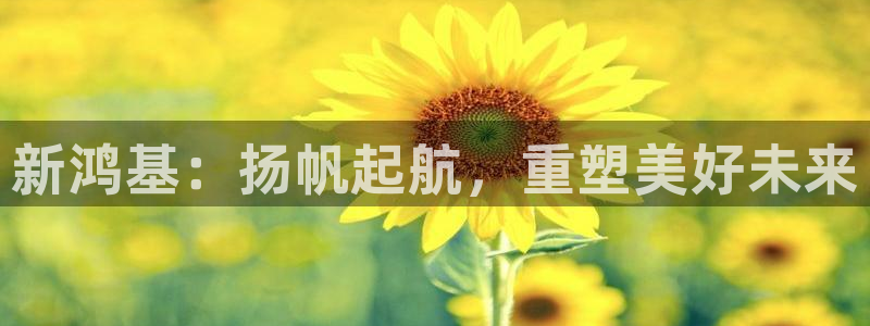 万向娱乐平台代理多少钱一个月