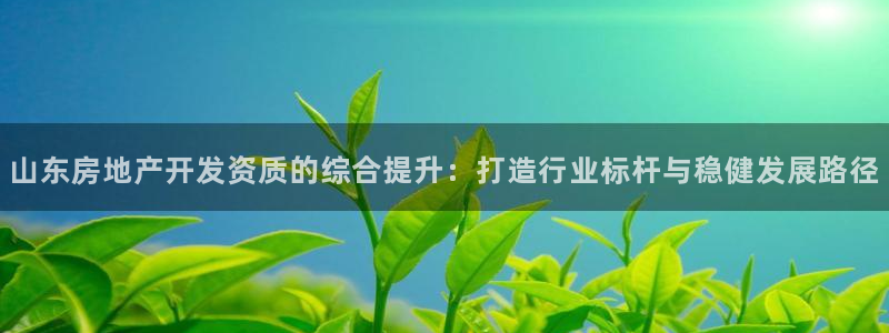 万向娱乐平台代理怎么样赚钱