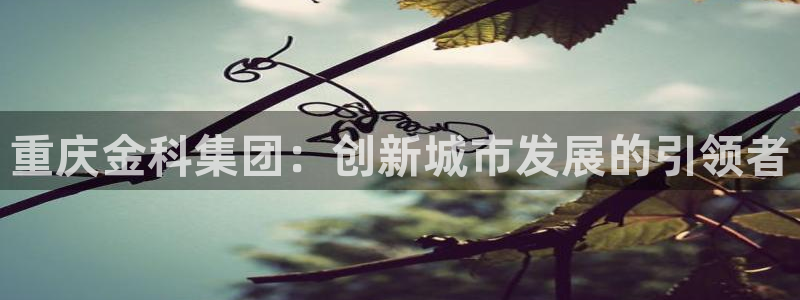万向娱乐下载安装