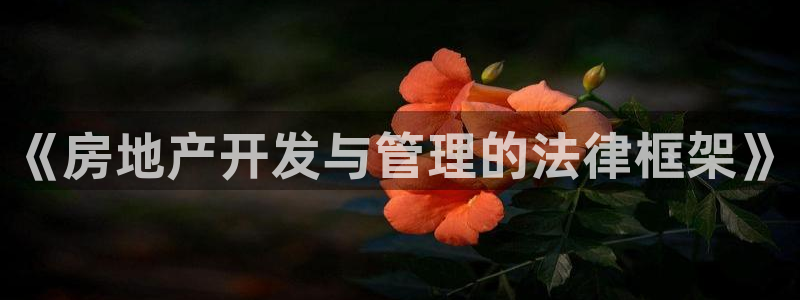 万向娱乐