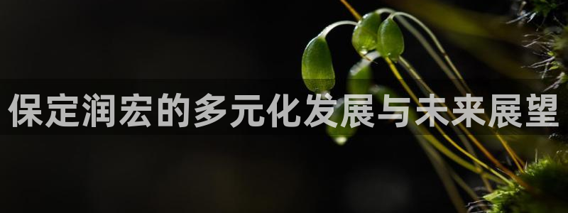 万能娱乐平台直招代理