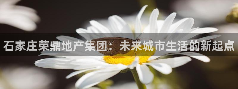 万向娱乐平台代理多少钱