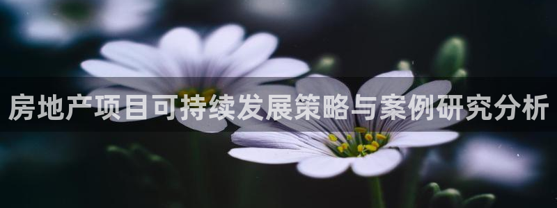 万向娱乐灯333OO