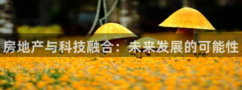 万向娱乐app下载