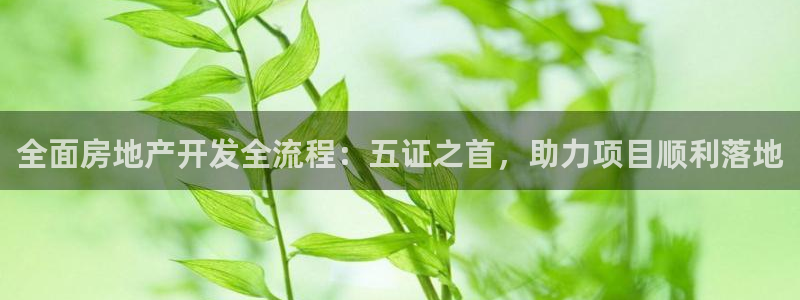 万向娱乐挂机