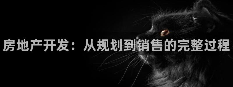 万向娱乐平台代理多少钱一年